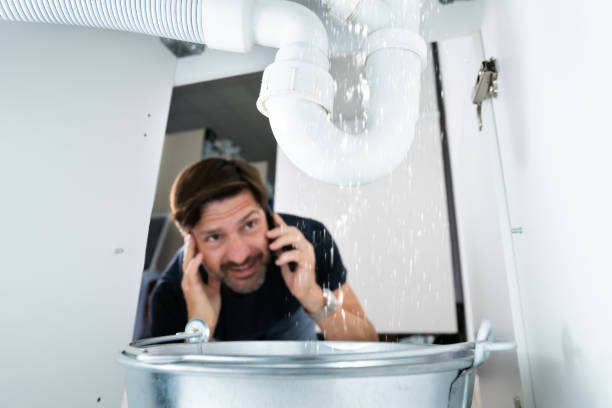 Best Affordable Plumbing Services  in Bay Pines, FL