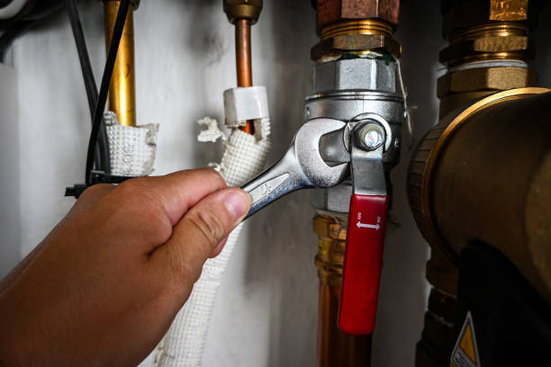 Best Septic Systems  in Bay Pines, FL